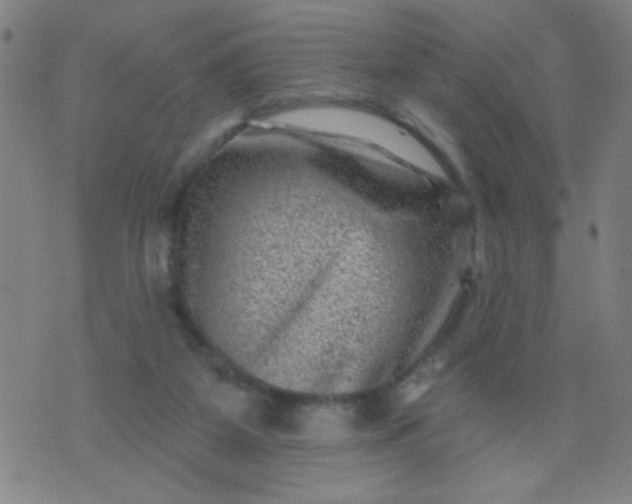 X0000076100115200610061716