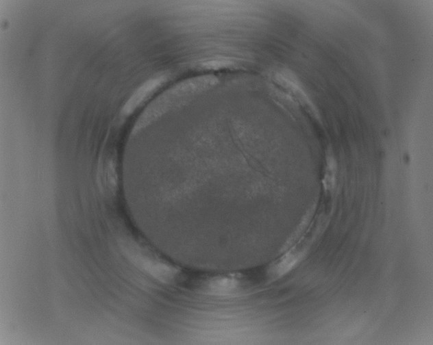 X0000076100116200610061716