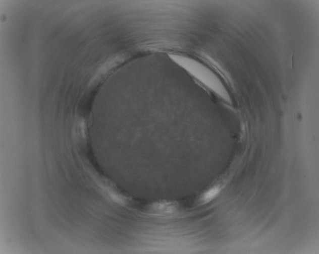 X0000076100117200610061716