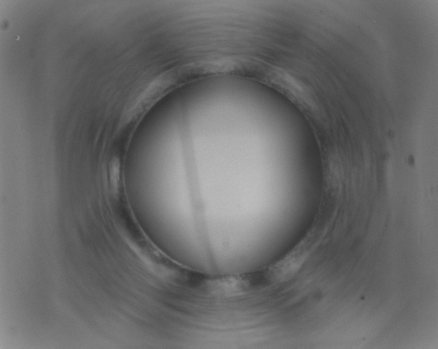 X0000076100118200610061716