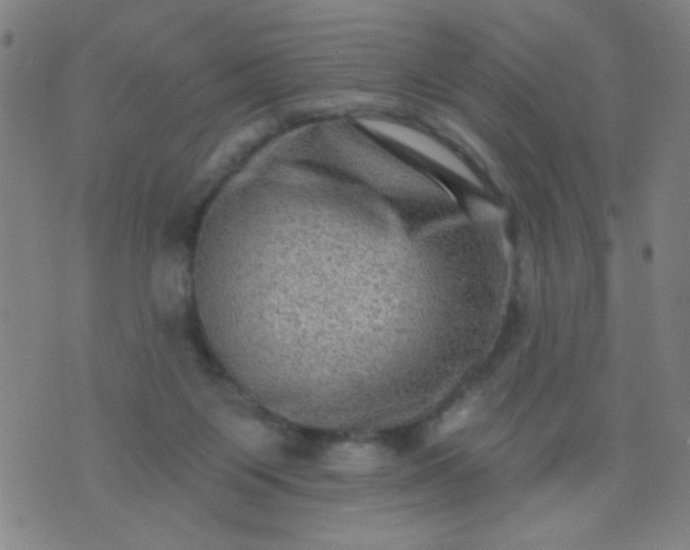 X0000076100119200610061716