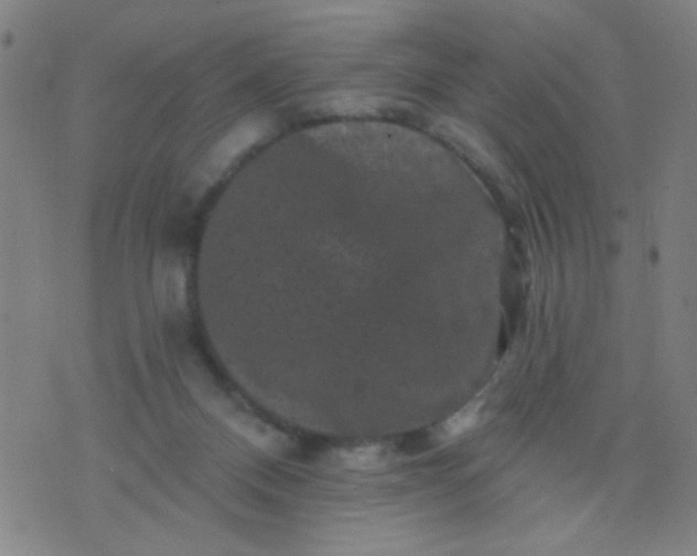 X0000076100120200610061716