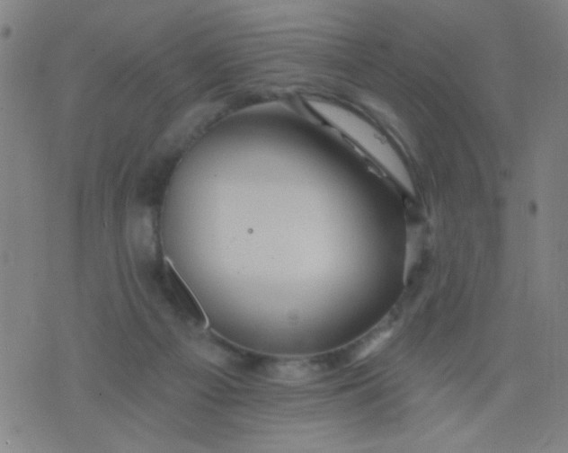 X0000076100121200610061716