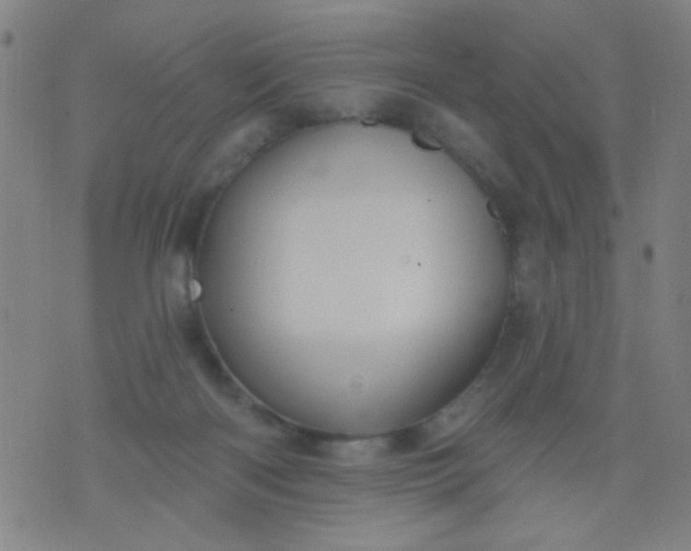 X0000076100122200610061716