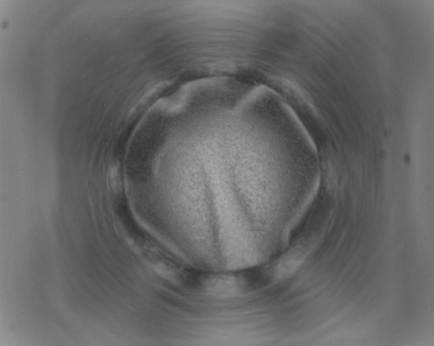 X0000076100123200610061716