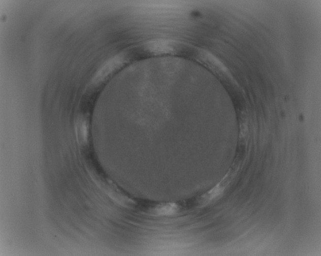 X0000076100124200610061716