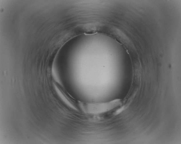 X0000076100125200610061716