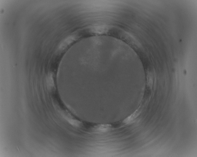 X0000076100128200610061716