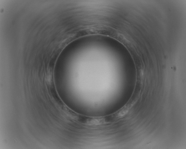 X0000076100129200610061716