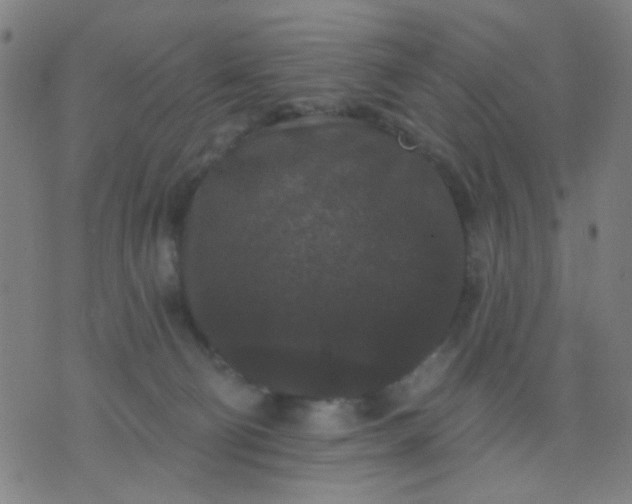 X0000076100130200610061716