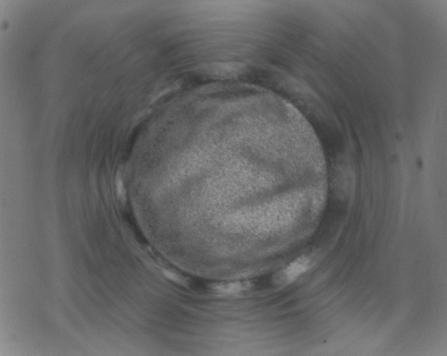 X0000076100131200610061716