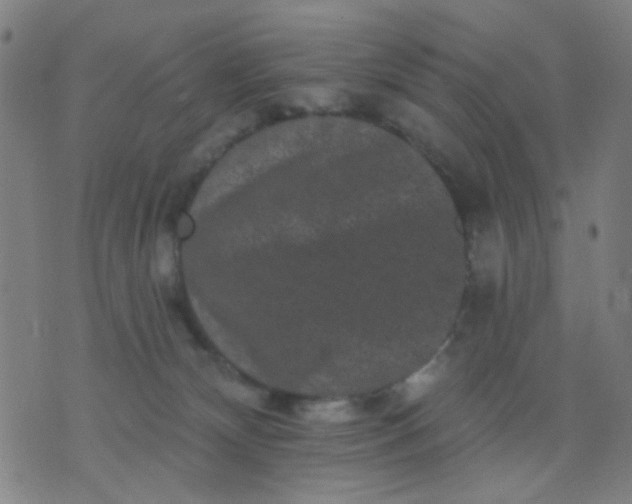 X0000076100132200610061716