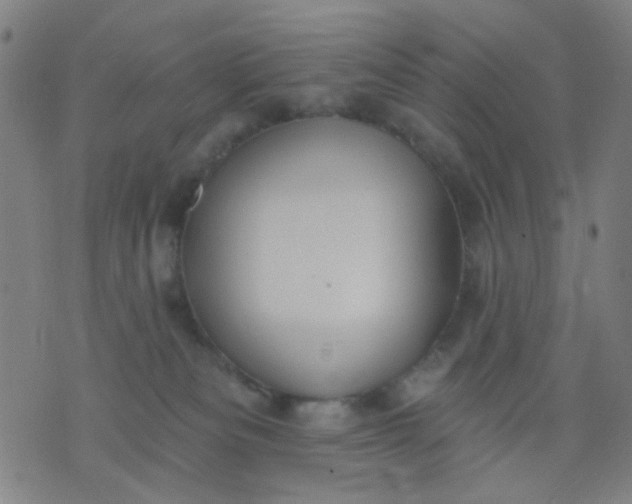 X0000076100133200610061716