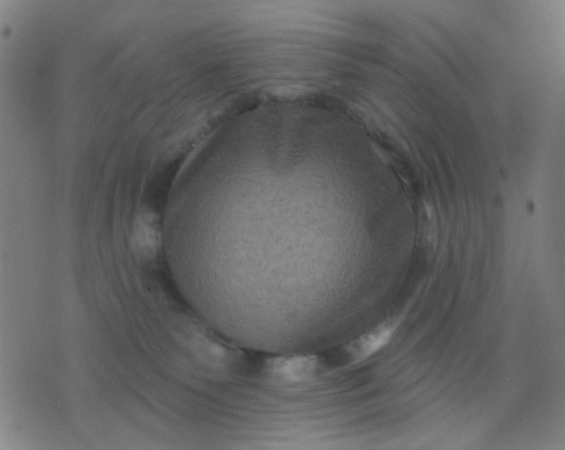 X0000076100135200610061716