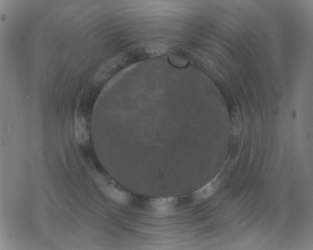 X0000076100136200610061716