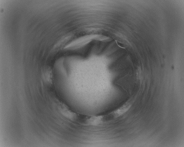 X0000076100138200610061716