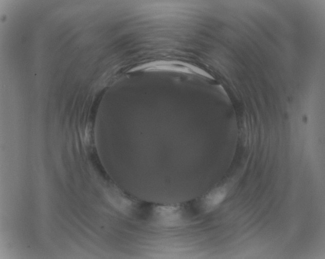 X0000076100139200610061716