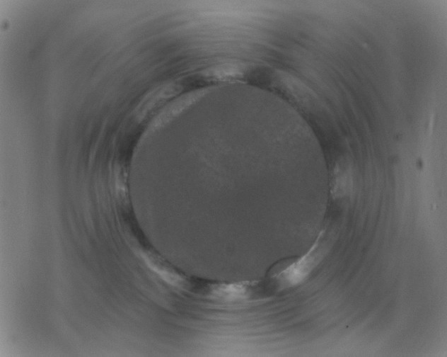 X0000076100140200610061716