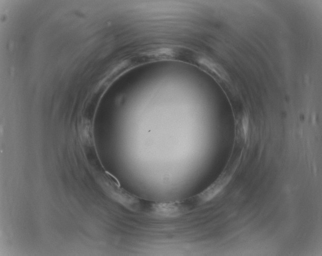 X0000076100141200610061716