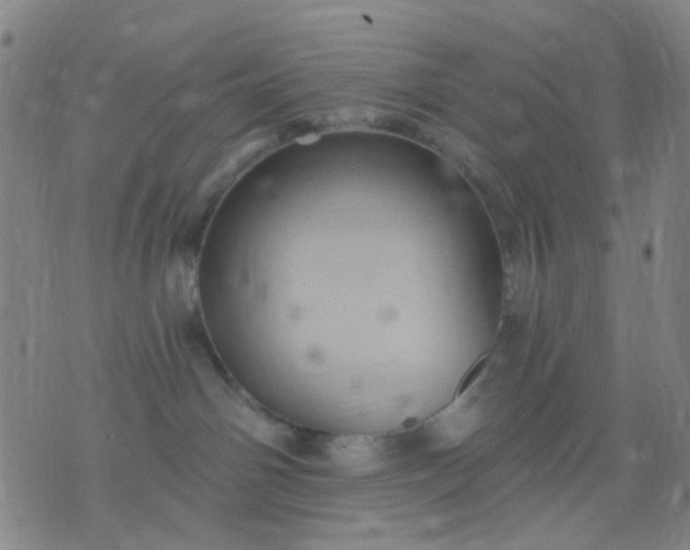 X0000076100142200610061716