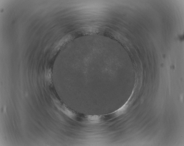 X0000076100144200610061716