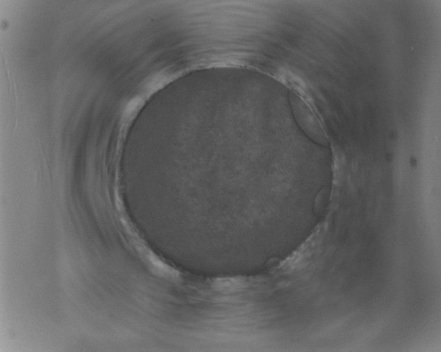 X0000076100145200610061715