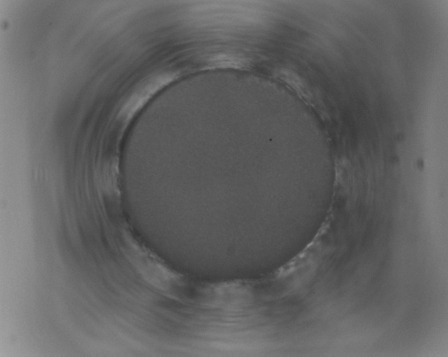 X0000076100146200610061715