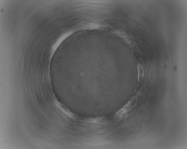 X0000076100147200610061715