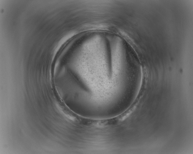 X0000076100148200610061715