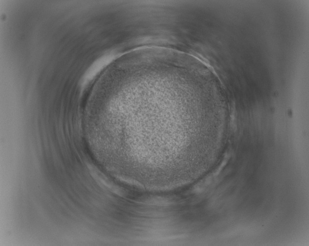 X0000076100149200610061715