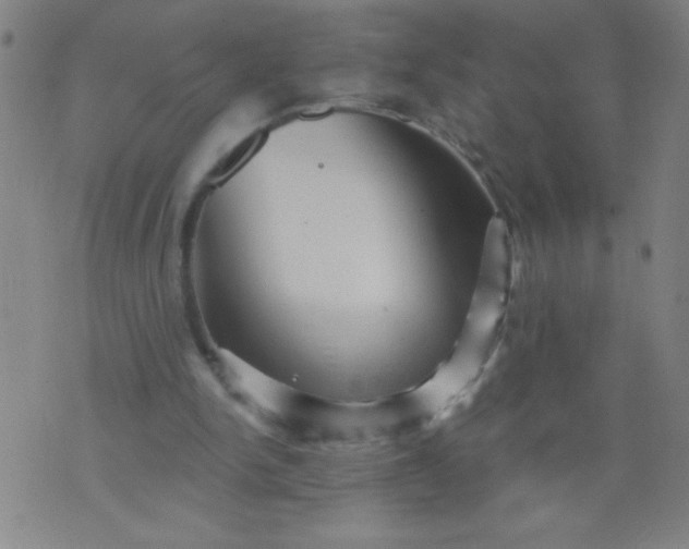 X0000076100150200610061715