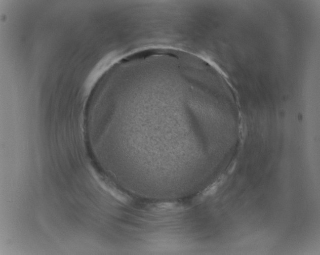 X0000076100151200610061715