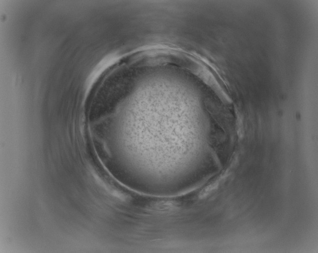 X0000076100152200610061715