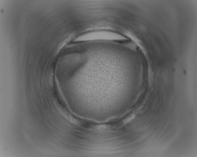 X0000076100153200610061715