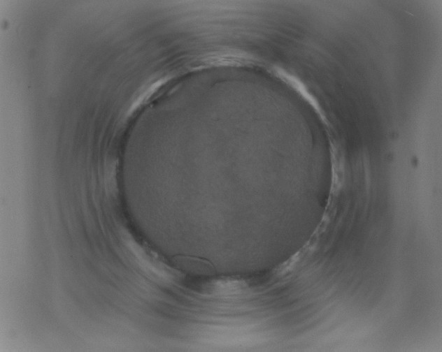 X0000076100154200610061715