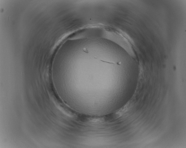 X0000076100155200610061715