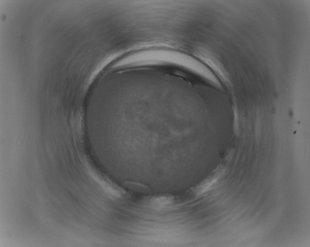 X0000076100156200610061715