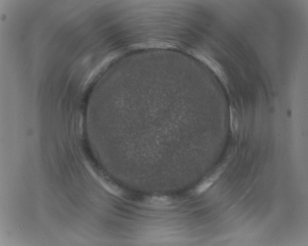 X0000076100157200610061715