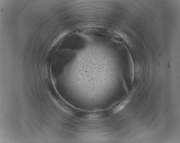 X0000076100158200610061715