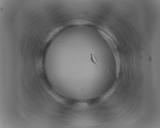 X0000076100159200610061715