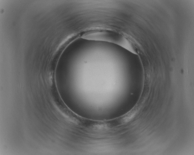 X0000076100160200610061715