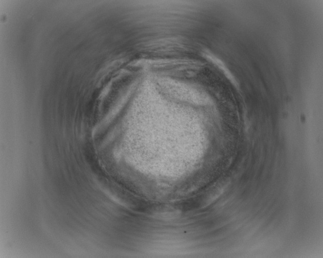 X0000076100161200610061715