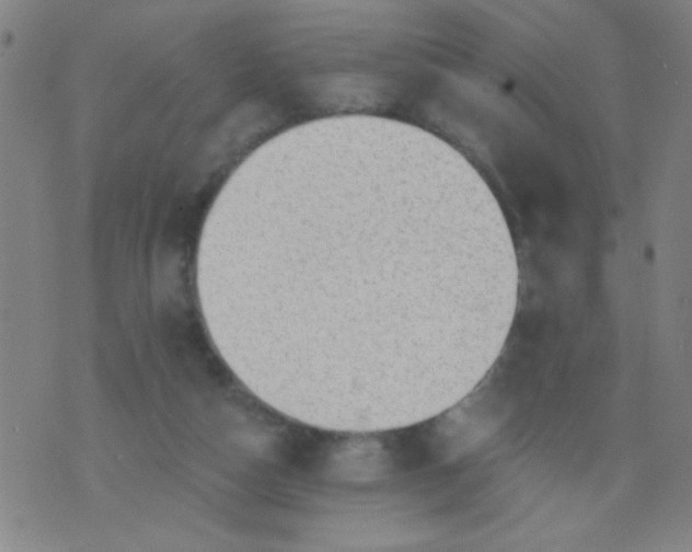 X0000076100162200610061715