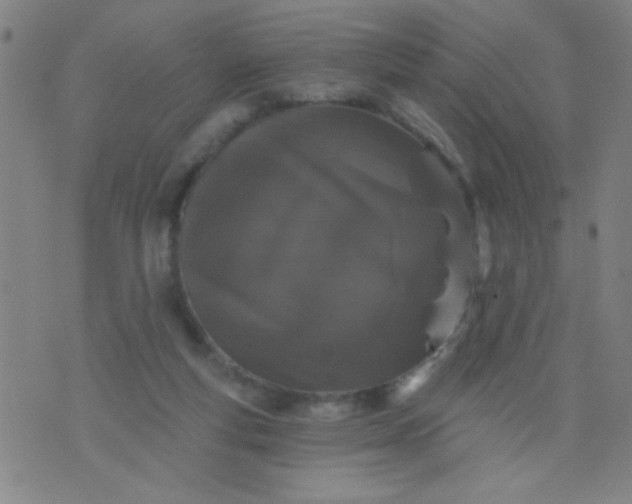 X0000076100163200610061715