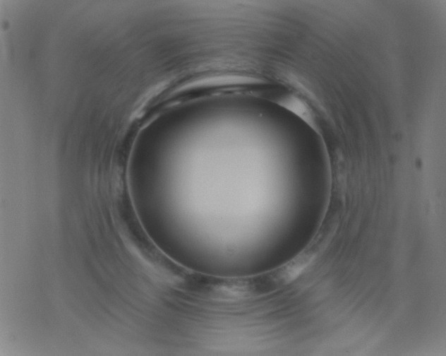 X0000076100164200610061715