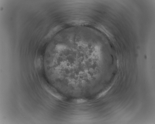 X0000076100165200610061715