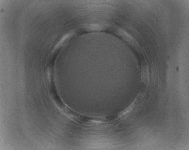 X0000076100167200610061715