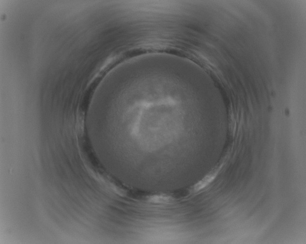 X0000076100168200610061715