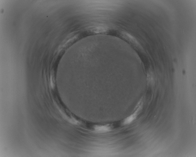 X0000076100170200610061715