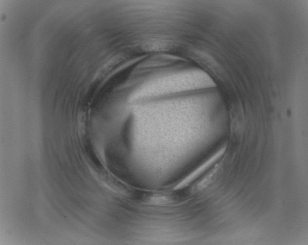 X0000076100171200610061715